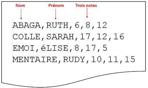 Syntaxe du fichier d’entrées