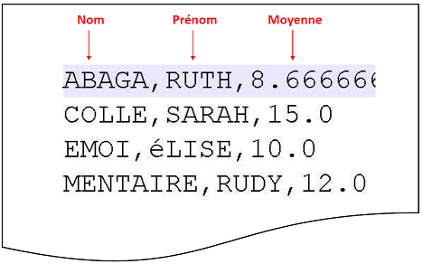 Syntaxe du fichier de sorties